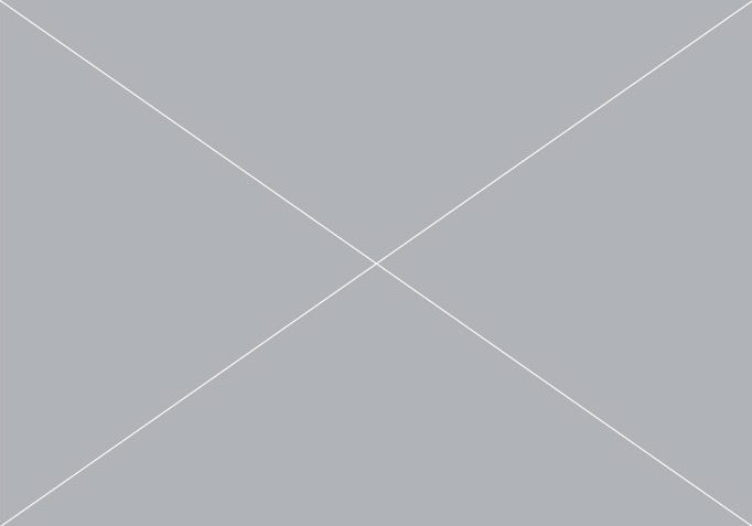 sample-image